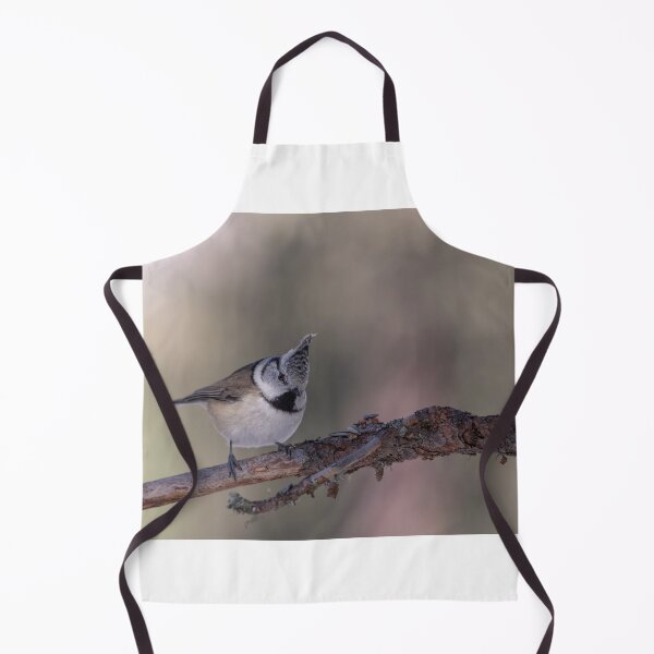 Item preview, Great crested tit designed and sold by pietrofoto.