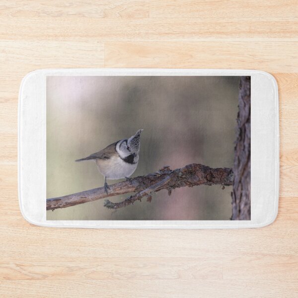 Item preview, Great crested tit designed and sold by pietrofoto.