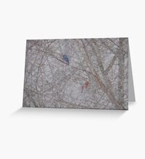 Bluebird and Cardinal in a snow storm Greeting Card