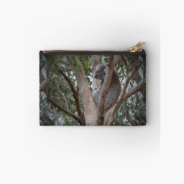 Item preview, How much can a Koala Bear designed and sold by Brett Conlon.