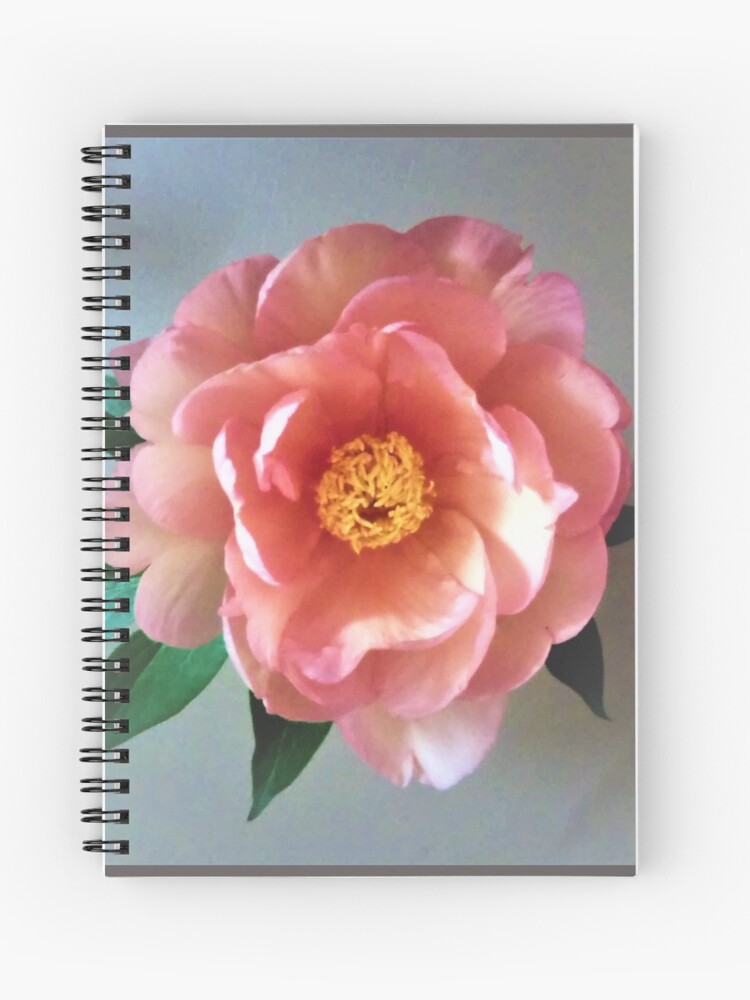 Cuaderno de espiral «Rosa durazno» de mlsflamingo | Redbubble