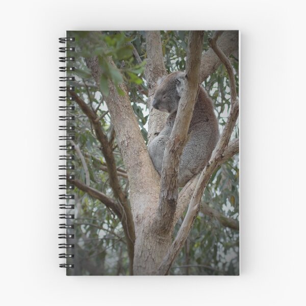 Aperçu de l'œuvre Combien peut un ours Koala créée et vendue par Brett Conlon.