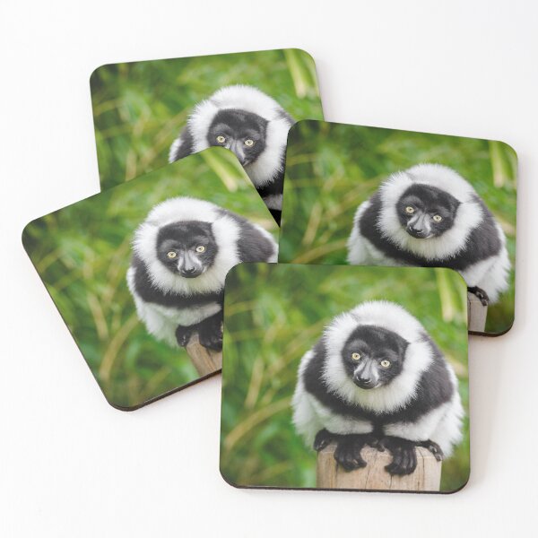 Item preview, Madagascar lemur designed and sold by PET-SHIRTS.