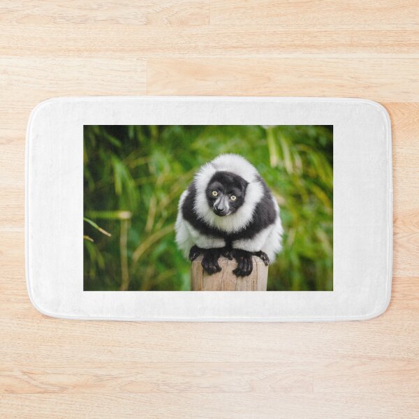 Item preview, Madagascar lemur designed and sold by PET-SHIRTS.