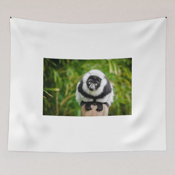 Item preview, Madagascar lemur designed and sold by PET-SHIRTS.