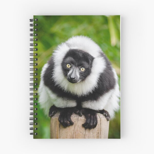 Item preview, Madagascar lemur designed and sold by PET-SHIRTS.