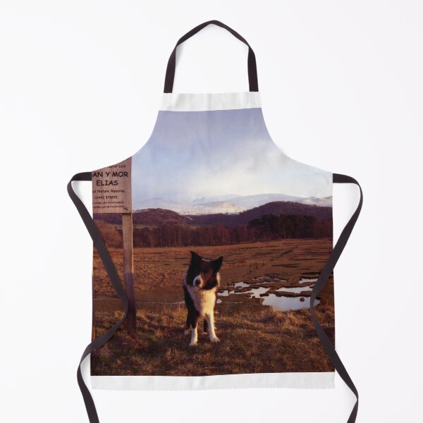Item preview, Indy at the Glan Y Mor Elias designed and sold by Michael Haslam.