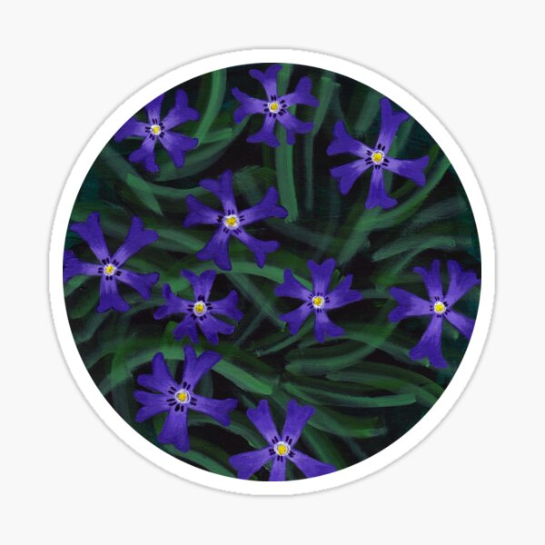 Phlox - cottage garden flowers Sticker