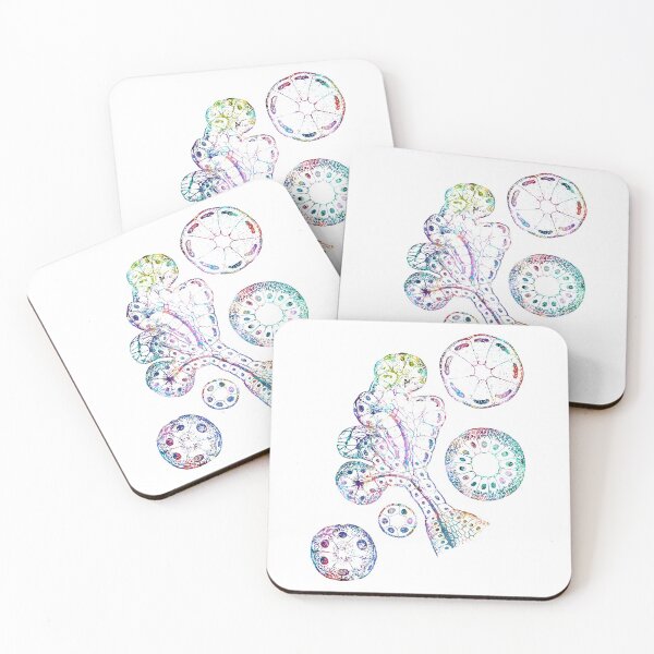 Item preview, Epithelial Components of Submandibular Gland designed and sold by EvasDreams.