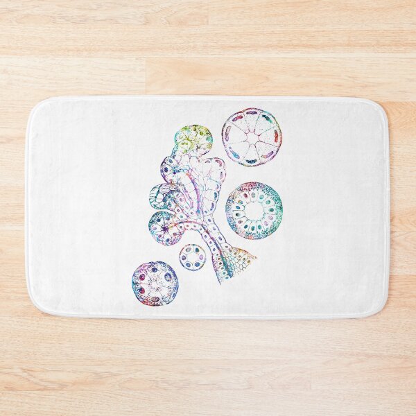 Item preview, Epithelial Components of Submandibular Gland designed and sold by EvasDreams.