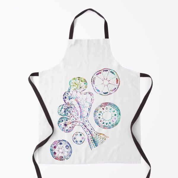 Item preview, Epithelial Components of Submandibular Gland designed and sold by EvasDreams.
