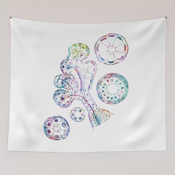 Item preview, Epithelial Components of Submandibular Gland designed and sold by EvasDreams.