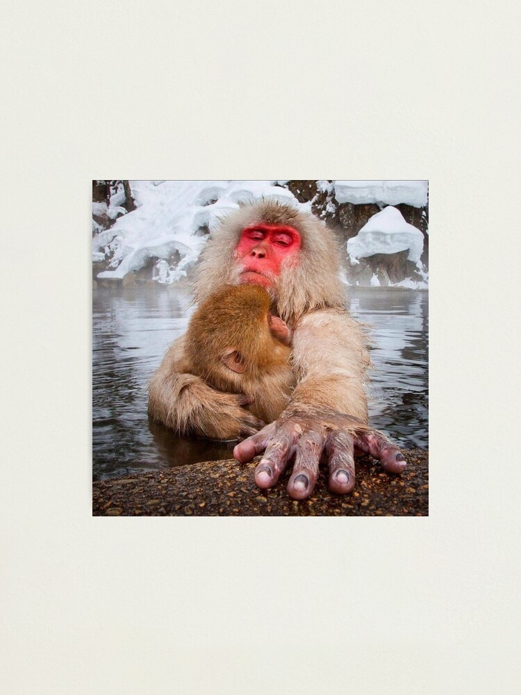 Mono de la nieve del bebé foto de archivo. Imagen de japonés
