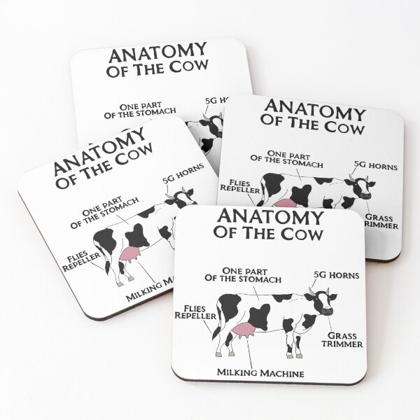 Item preview, Cow Anatomy designed and sold by LesSketches.