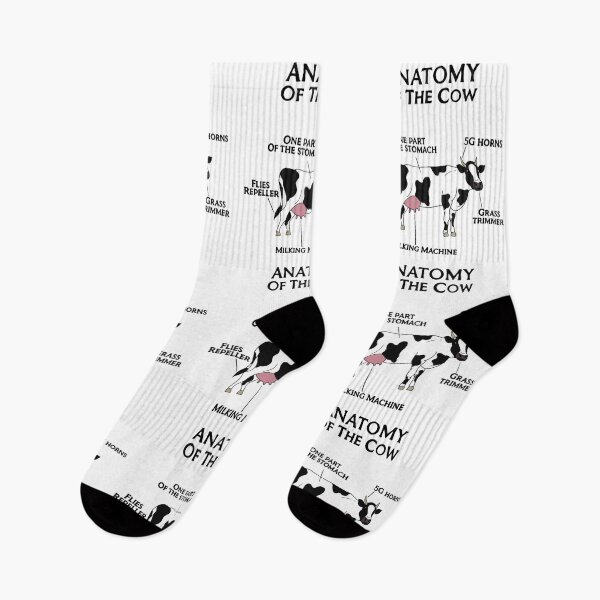 Item preview, Cow Anatomy designed and sold by LesSketches.