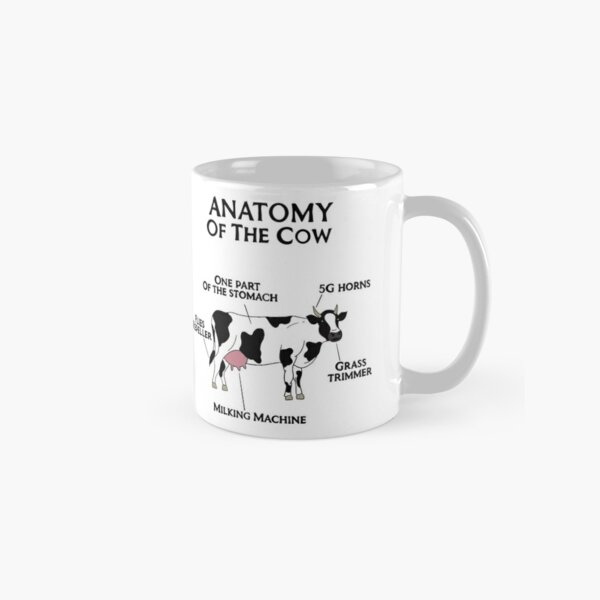 Gift For Cow Lover Dairy Farm Mug Funny Cow Mug Floral Cow Mug Cow Humor Not Today Heifer Mug Cow Lover Gift Sarcastic Cow Mug