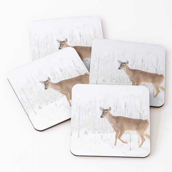 Item preview, Spring Fever  designed and sold by Greg Birkett.