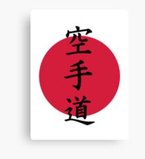 Chinese Karate Canvas Print