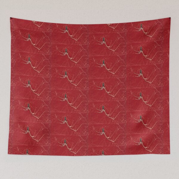 Item preview, Spider on Red designed and sold by craftsbydaphy.