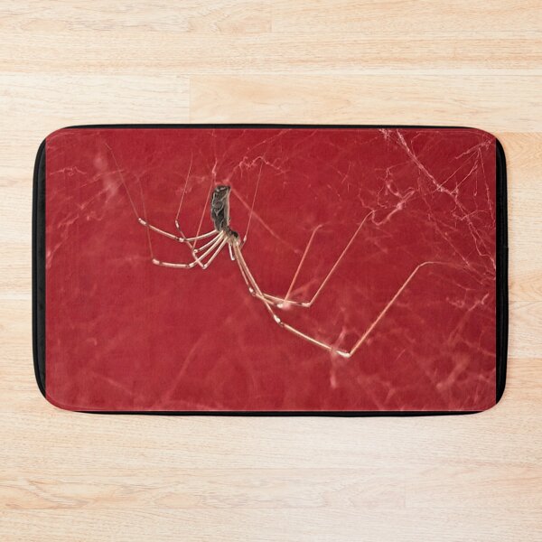 Item preview, Spider on Red designed and sold by craftsbydaphy.