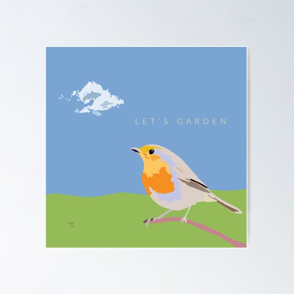 Robin Poster