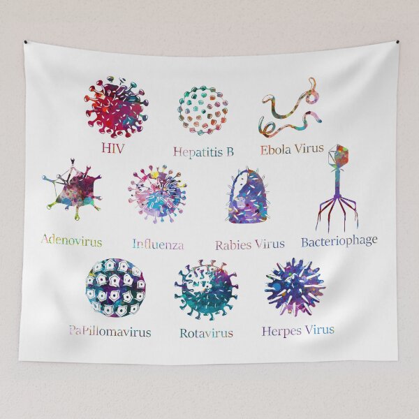 Item preview, Diagram of Different Virus Kinds designed and sold by EvasDreams.