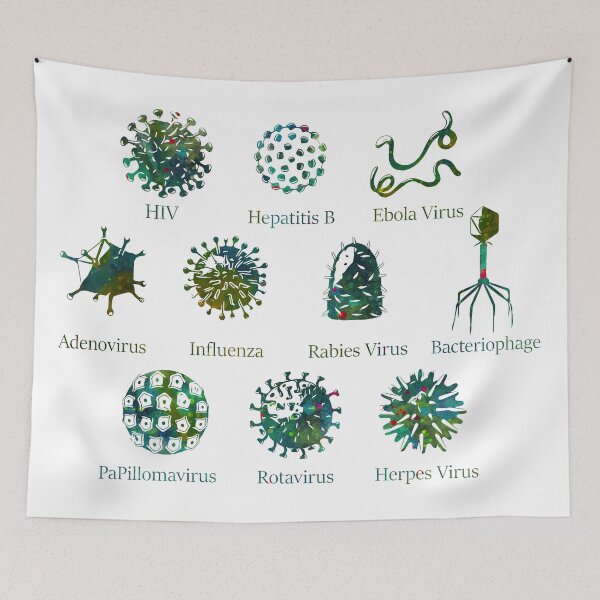 Item preview, Diagram of Different Virus Kinds designed and sold by EvasDreams.