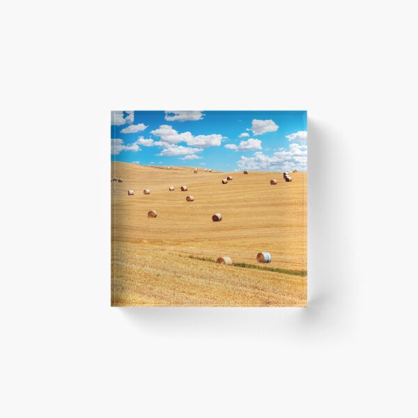 Item preview, Hay bales in Val D Orcia designed and sold by pietrofoto.