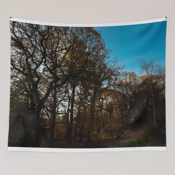 Item preview, Plessey Woods, Bedlington designed and sold by Violaman.