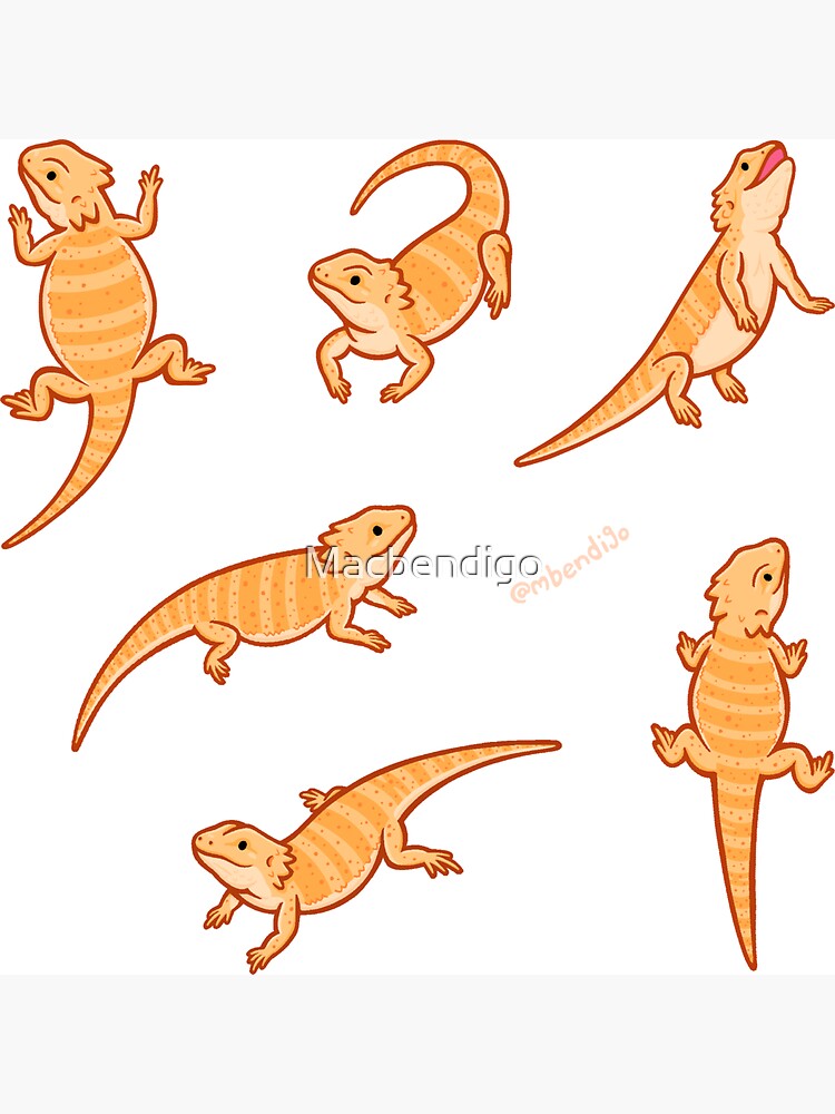 Thumbnail 3 of 3, Magnet, Bearded Dragons designed and sold by Macbendigo.