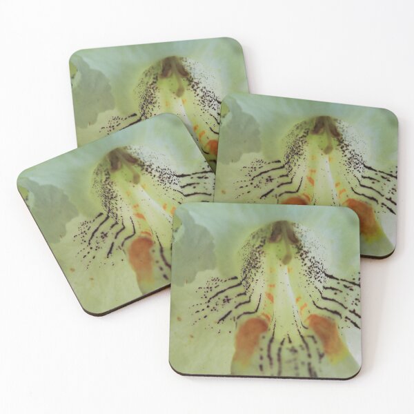Item preview, Flower Close Up designed and sold by Allen Penton.