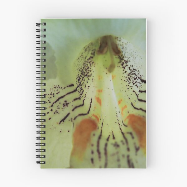 Item preview, Flower Close Up designed and sold by Allen Penton.