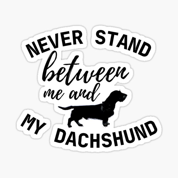 Never stand between me and my Dachshund - Print Sticker