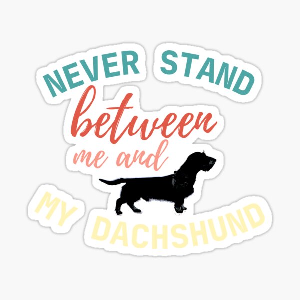 Never stand between me and my Dachshund - Color on White Sticker