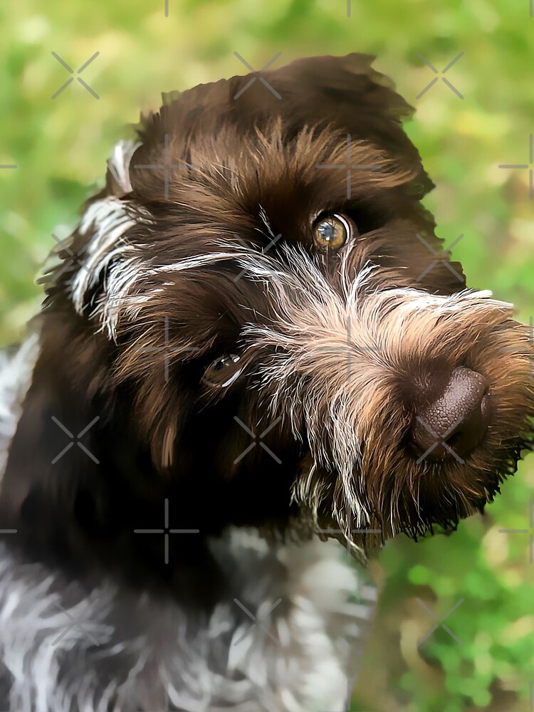 OAKLEY BERUBE by boesarts
