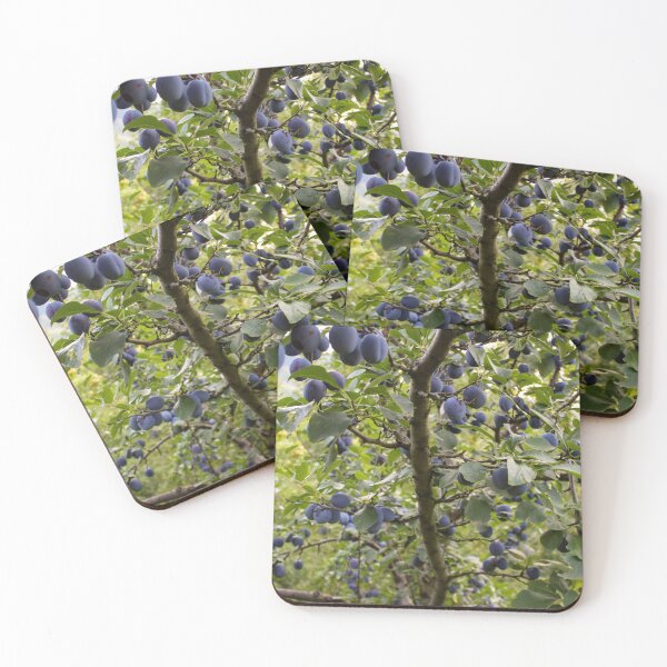 Item preview, Branch with lots of plums designed and sold by Mahirov Shop.