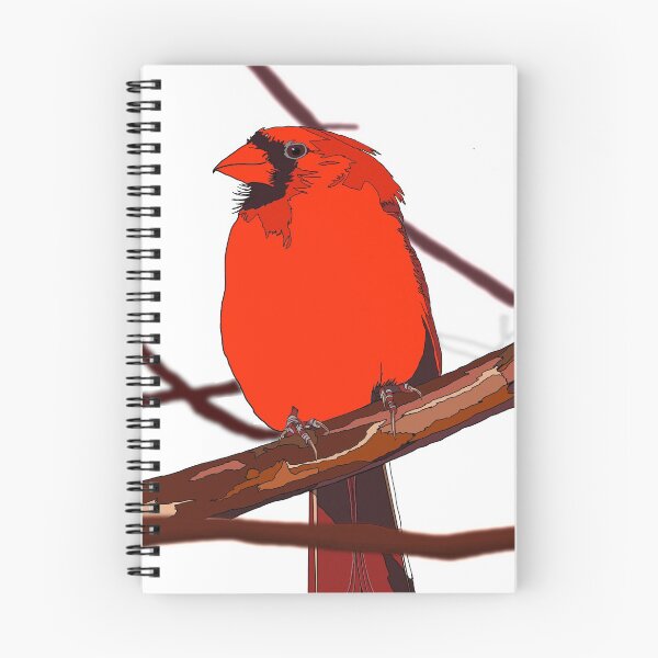Item preview, Red Cardinal sitting on a branch - no background designed and sold by Brian  Doub.