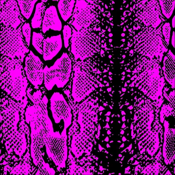 Artwork thumbnail, Python Skin by DesignFantazia