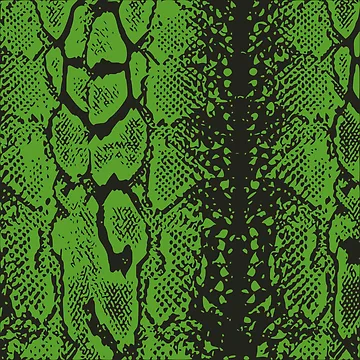 Artwork thumbnail, Python Skin by DesignFantazia