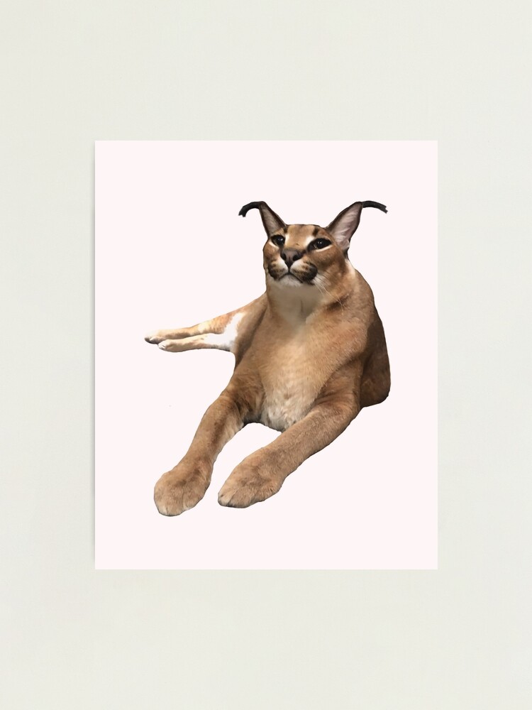 Caracal Poster, Caracal Lover, Caracal Floppa - FridayStuff