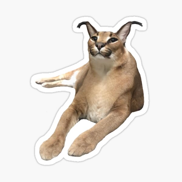 big floppa - caracal Sticker for Sale by faelarvae