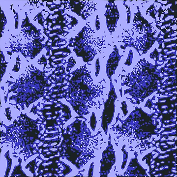 Artwork thumbnail, Python Skin by DesignFantazia