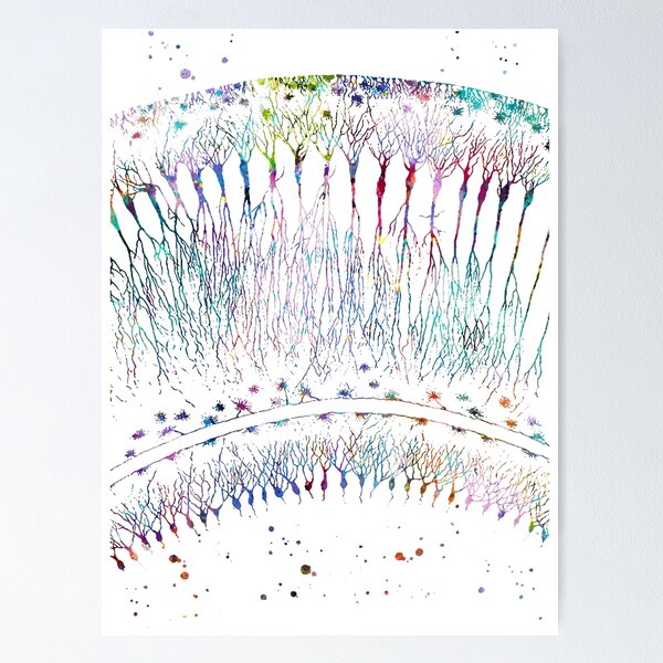 Vista previa del artículo con la obra «Neuronas corticales humanas», diseñado y vendido por EvasDreams.
