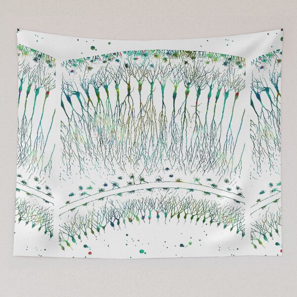 Item preview, Human Cortical Neurons designed and sold by EvasDreams.