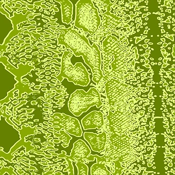Artwork thumbnail, Python Skin by DesignFantazia