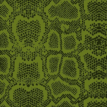 Artwork thumbnail, Python Skin by DesignFantazia