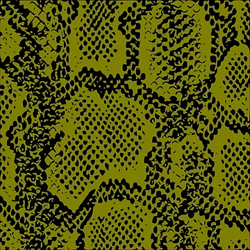 Artwork thumbnail, Python Skin by DesignFantazia