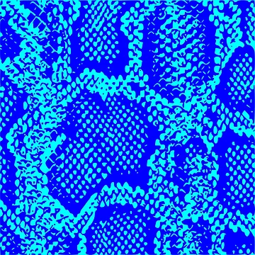 Artwork thumbnail, Python Skin by DesignFantazia