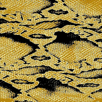 Artwork thumbnail, Python Skin by DesignFantazia