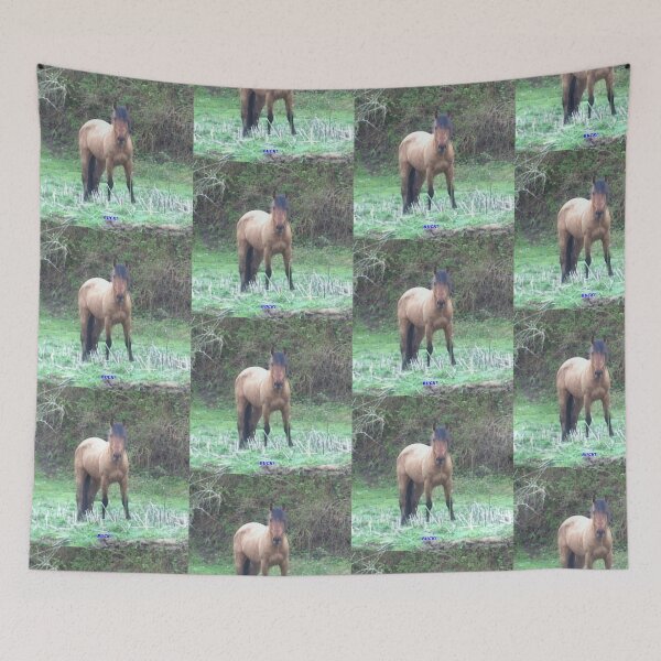 Item preview, BUCK  Photographer CBDOilPrincess  designed and sold by CBDOilPrincess.